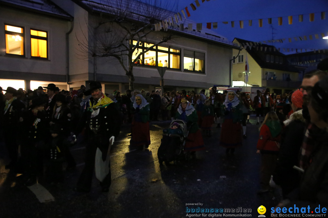 Fasnetsumzug - Fasching: Markdorf am Bodensee, 16.01.2016