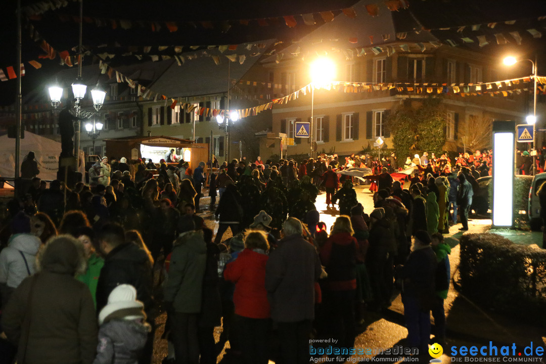 Fasnetsumzug - Fasching: Markdorf am Bodensee, 16.01.2016