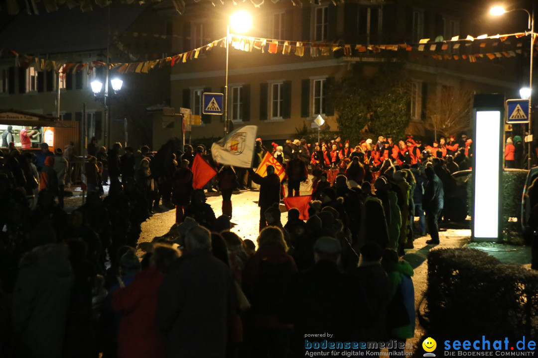 Fasnetsumzug - Fasching: Markdorf am Bodensee, 16.01.2016