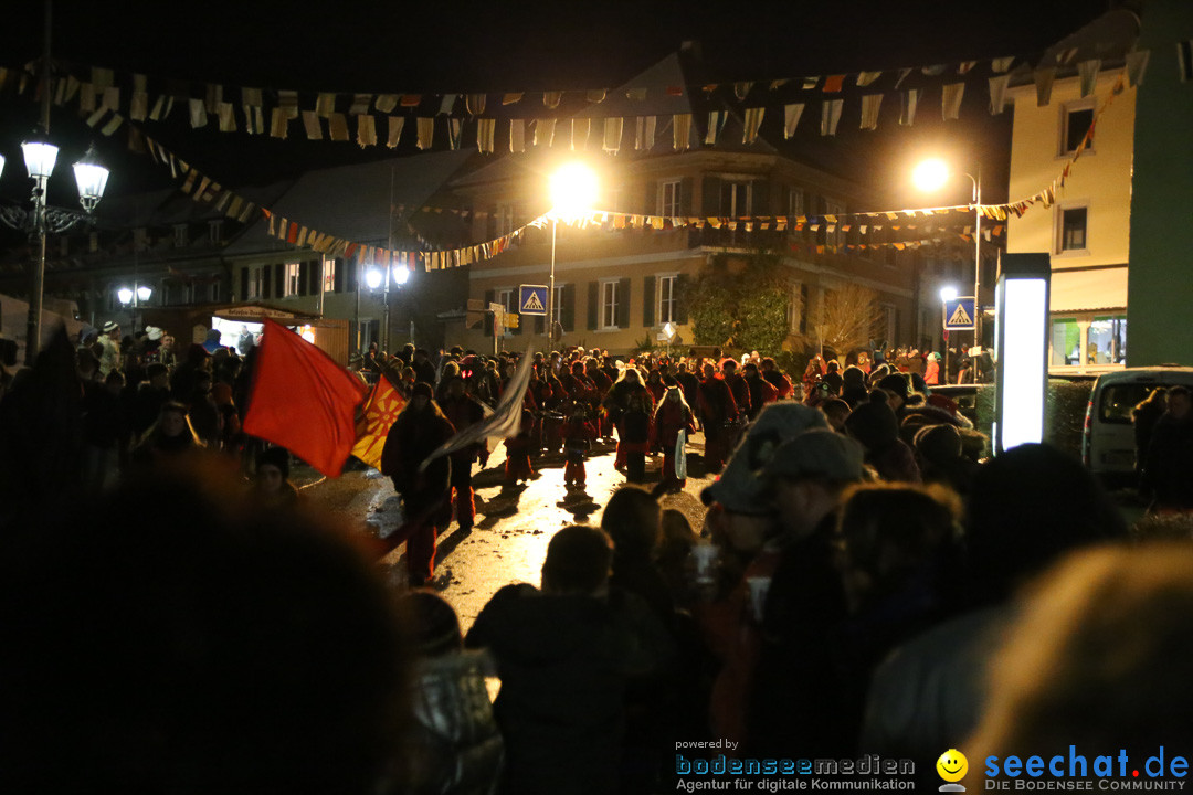 Fasnetsumzug - Fasching: Markdorf am Bodensee, 16.01.2016