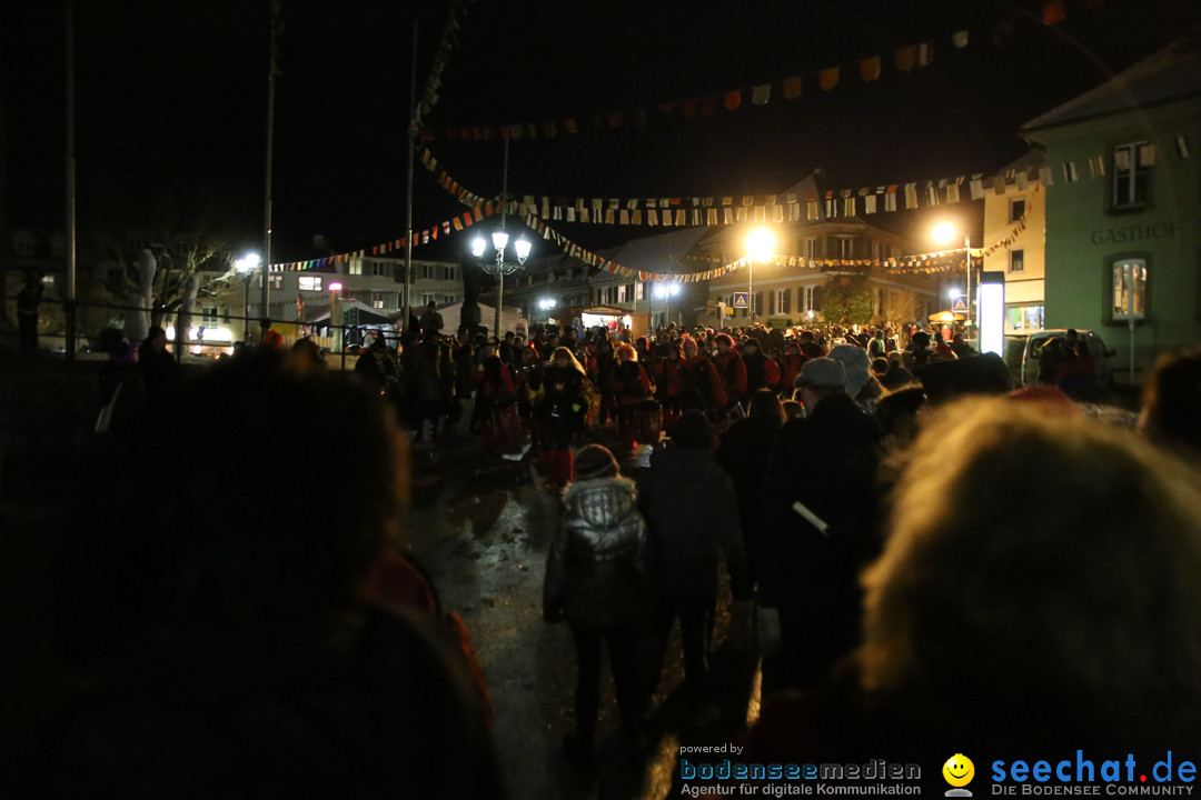 Fasnetsumzug - Fasching: Markdorf am Bodensee, 16.01.2016