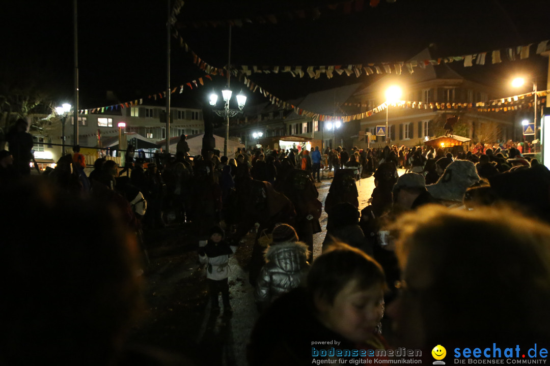 Fasnetsumzug - Fasching: Markdorf am Bodensee, 16.01.2016