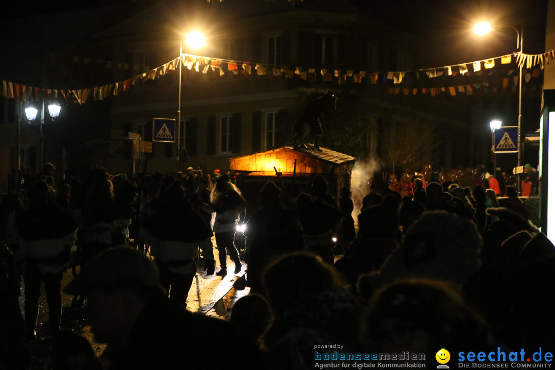 Fasnetsumzug - Fasching: Markdorf am Bodensee, 16.01.2016