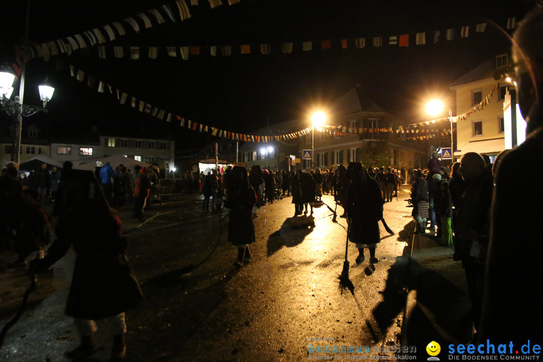 Fasnetsumzug - Fasching: Markdorf am Bodensee, 16.01.2016