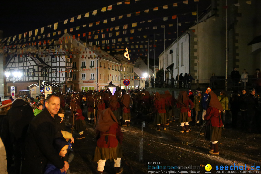 Fasnetsumzug - Fasching: Markdorf am Bodensee, 16.01.2016