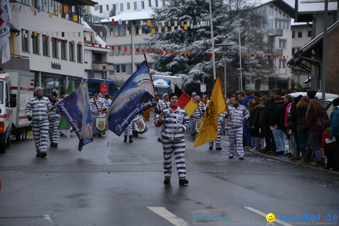 Fasnetsumzug - Fasching: Markdorf am Bodensee, 16.01.2016