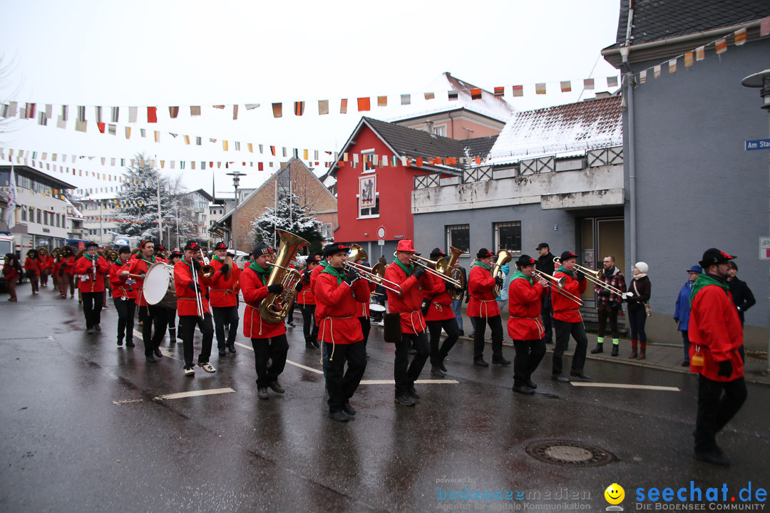 Fasnetsumzug - Fasching: Markdorf am Bodensee, 16.01.2016