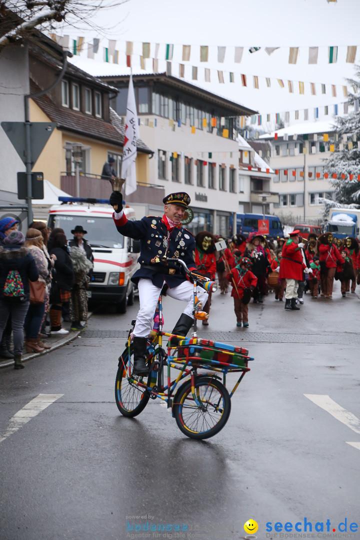 Fasnetsumzug - Fasching: Markdorf am Bodensee, 16.01.2016