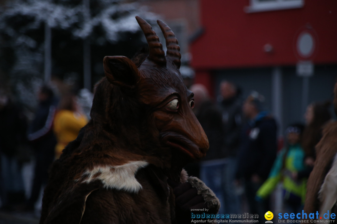 Fasnetsumzug - Fasching: Markdorf am Bodensee, 16.01.2016