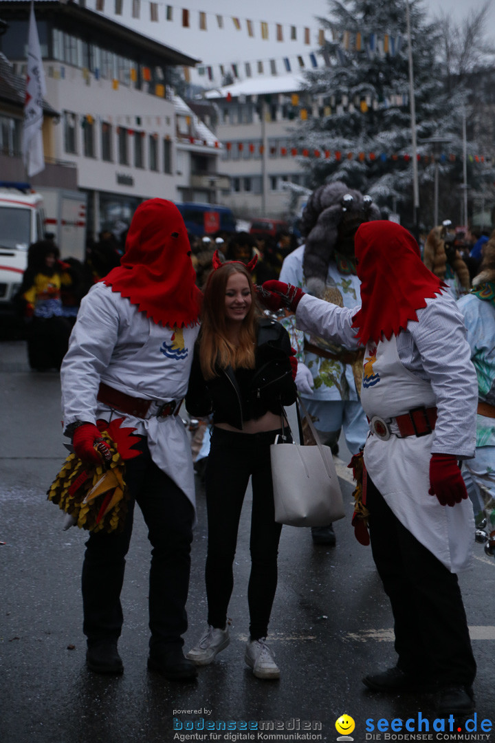 Fasnetsumzug - Fasching: Markdorf am Bodensee, 16.01.2016