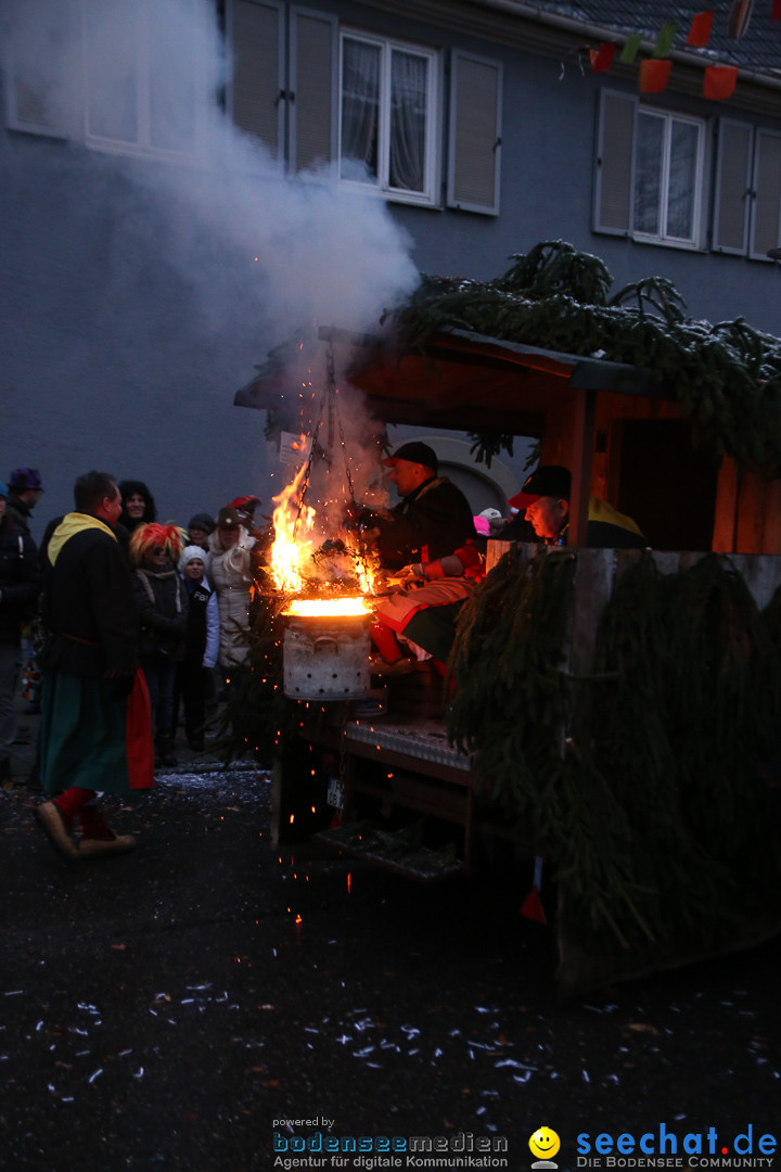 Fasnetsumzug - Fasching: Markdorf am Bodensee, 16.01.2016