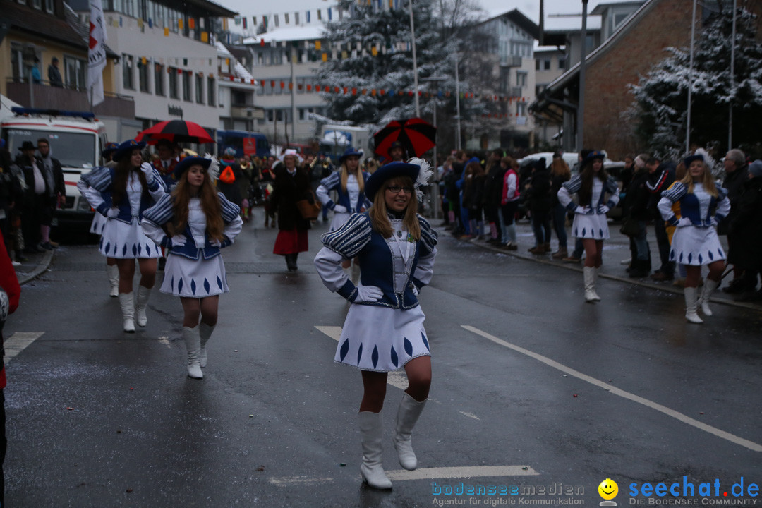 Fasnetsumzug - Fasching: Markdorf am Bodensee, 16.01.2016