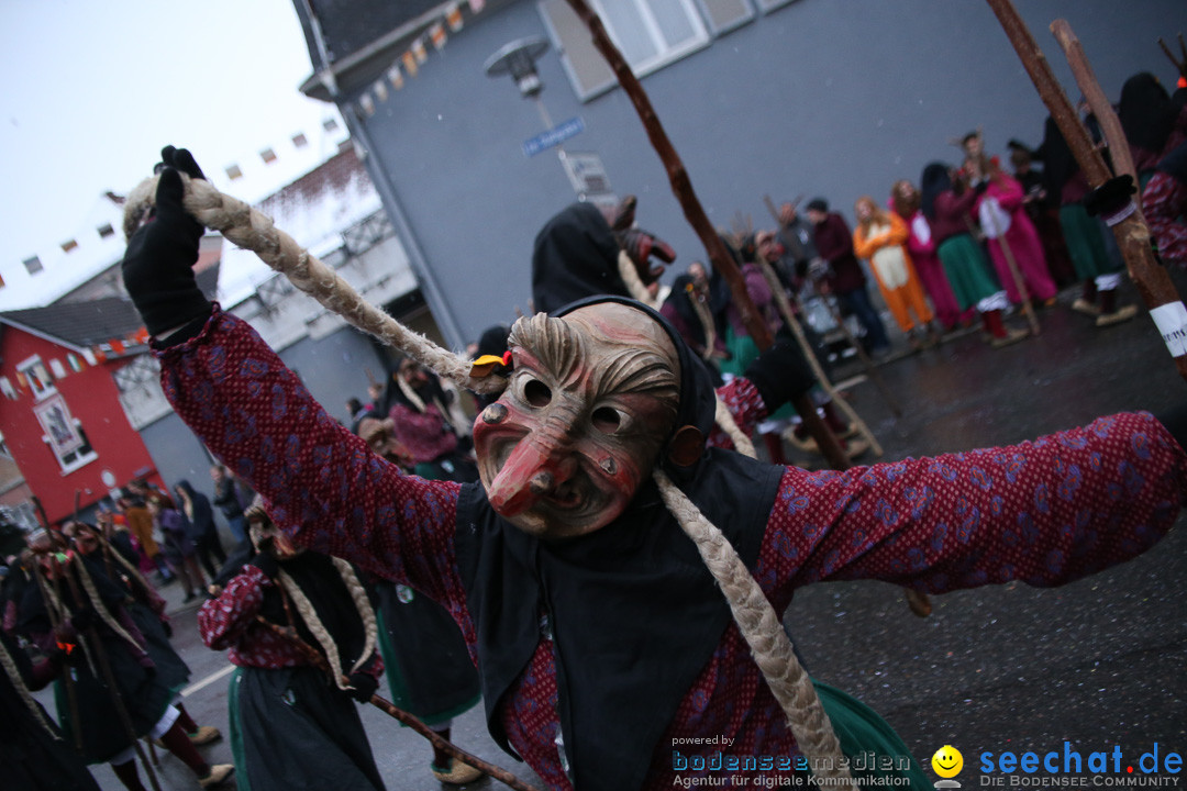 Fasnetsumzug - Fasching: Markdorf am Bodensee, 16.01.2016