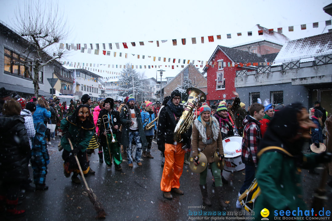 Fasnetsumzug - Fasching: Markdorf am Bodensee, 16.01.2016