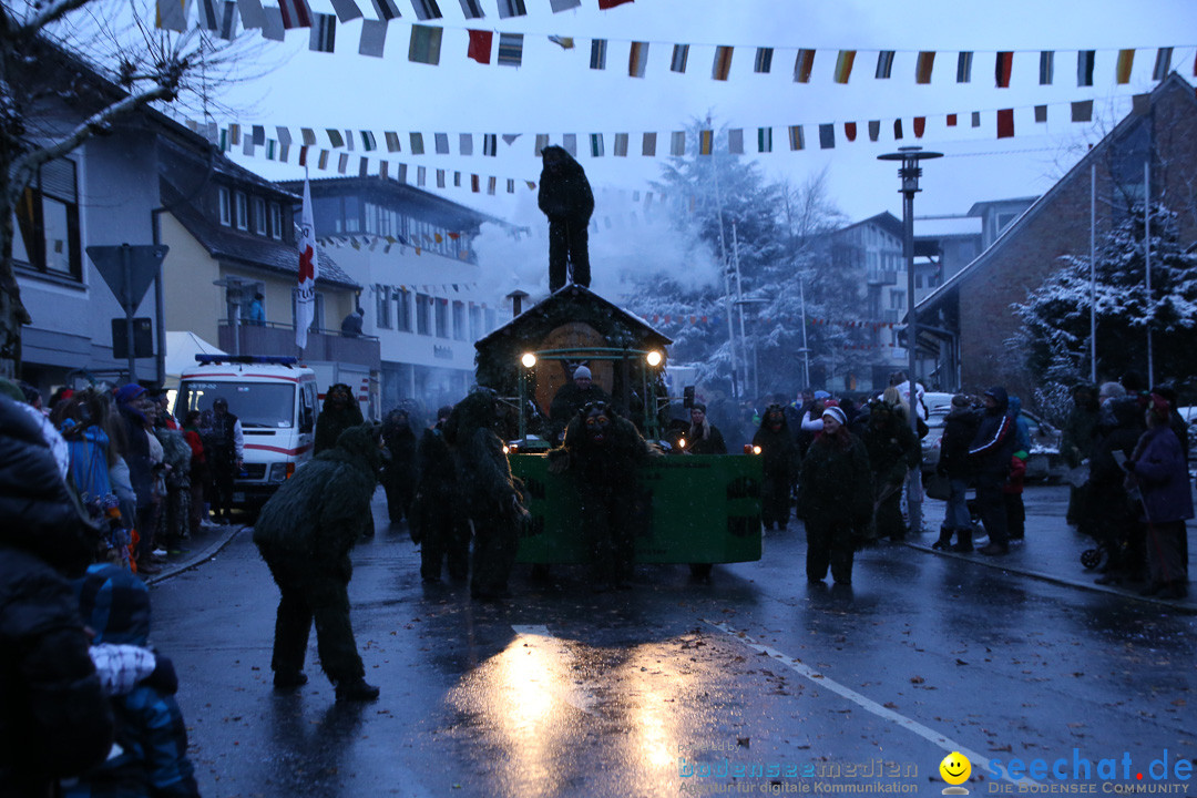 Fasnetsumzug - Fasching: Markdorf am Bodensee, 16.01.2016