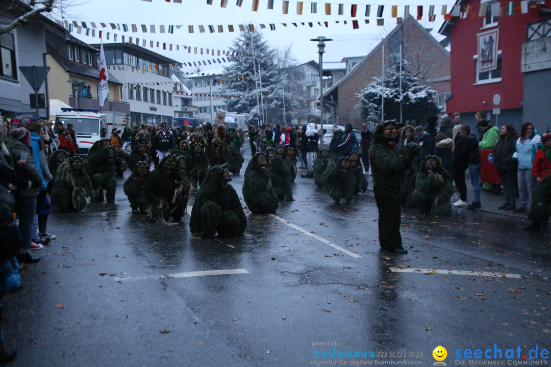 Fasnetsumzug - Fasching: Markdorf am Bodensee, 16.01.2016