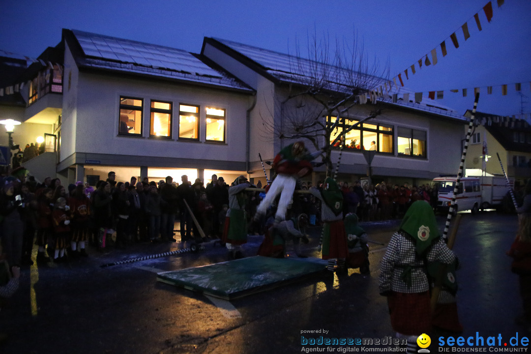 Fasnetsumzug - Fasching: Markdorf am Bodensee, 16.01.2016