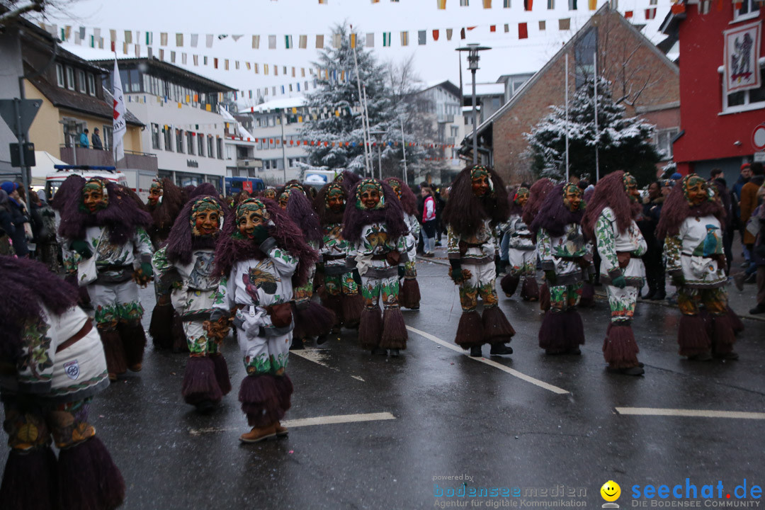 Fasnetsumzug - Fasching: Markdorf am Bodensee, 16.01.2016