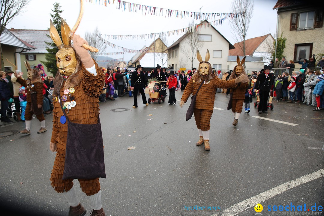 Fasnachtsumzug und Narrentage: Welschingen, 24.01.2016