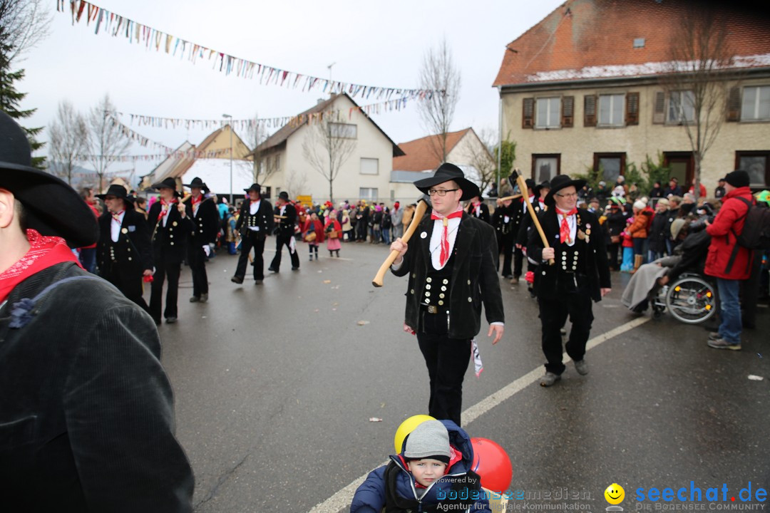 Fasnachtsumzug und Narrentage: Welschingen, 24.01.2016