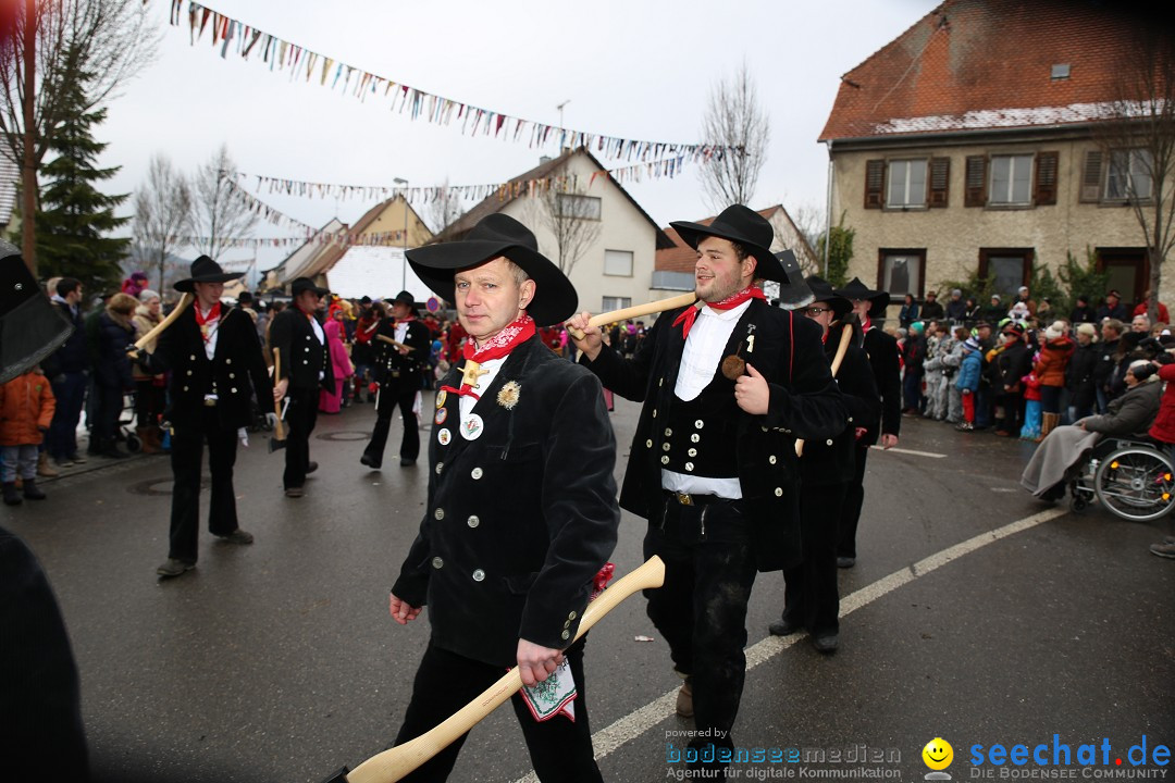 Fasnachtsumzug und Narrentage: Welschingen, 24.01.2016