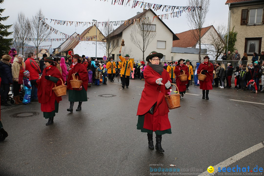 Fasnachtsumzug und Narrentage: Welschingen, 24.01.2016