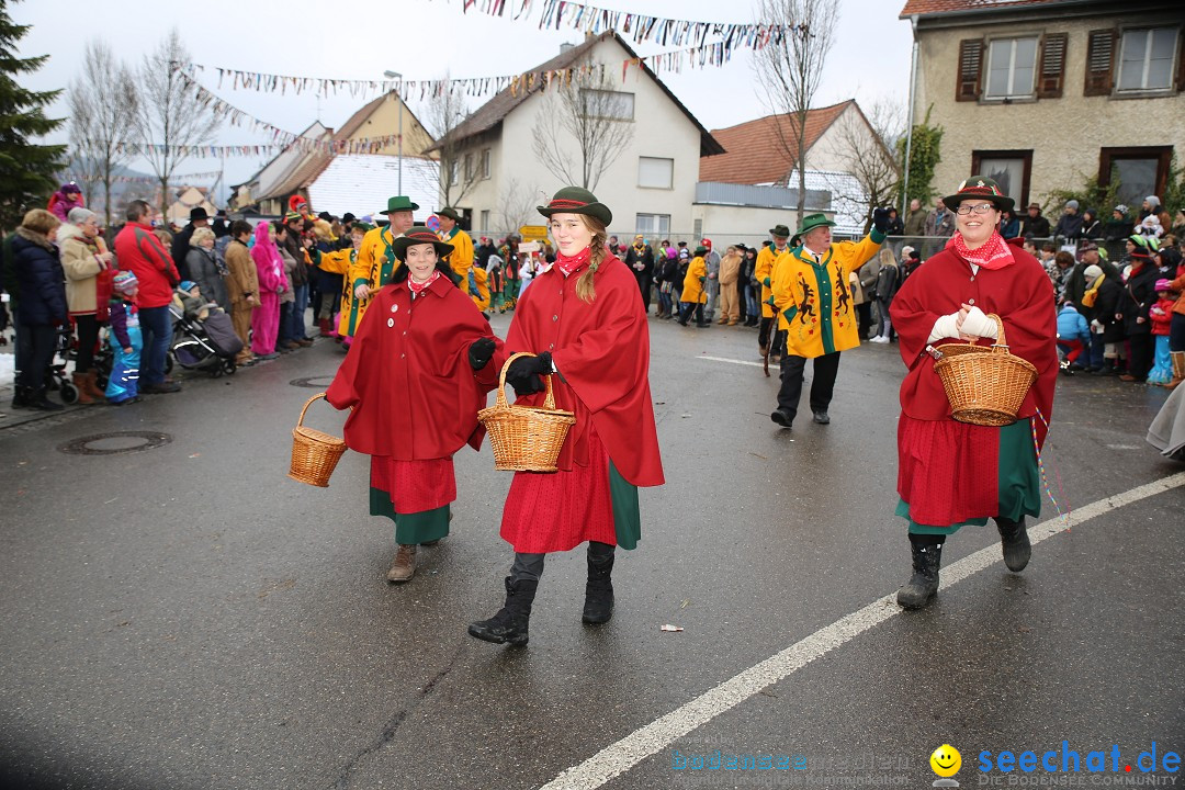 Fasnachtsumzug und Narrentage: Welschingen, 24.01.2016