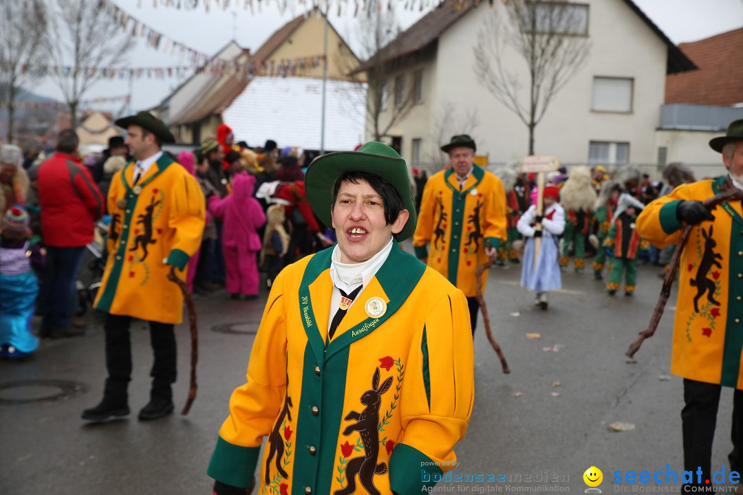 Fasnachtsumzug und Narrentage: Welschingen, 24.01.2016