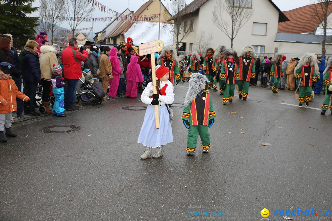 Fasnachtsumzug und Narrentage: Welschingen, 24.01.2016