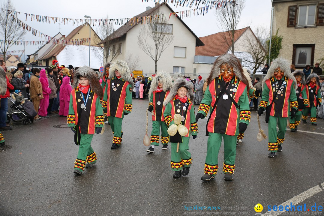 Fasnachtsumzug und Narrentage: Welschingen, 24.01.2016