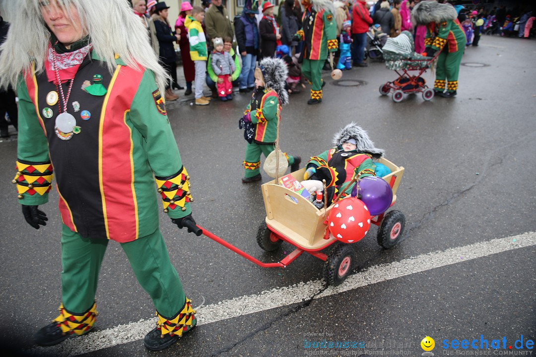 Fasnachtsumzug und Narrentage: Welschingen, 24.01.2016