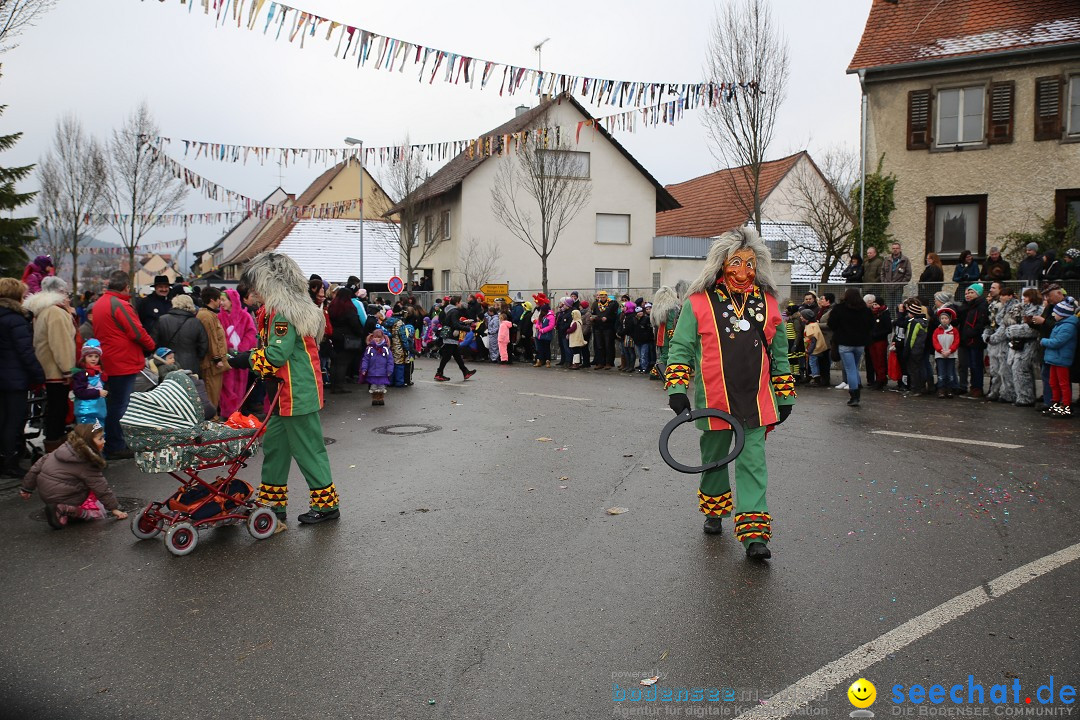 Fasnachtsumzug und Narrentage: Welschingen, 24.01.2016