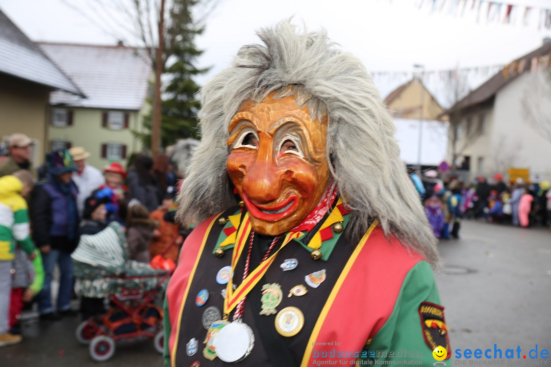 Fasnachtsumzug und Narrentage: Welschingen, 24.01.2016