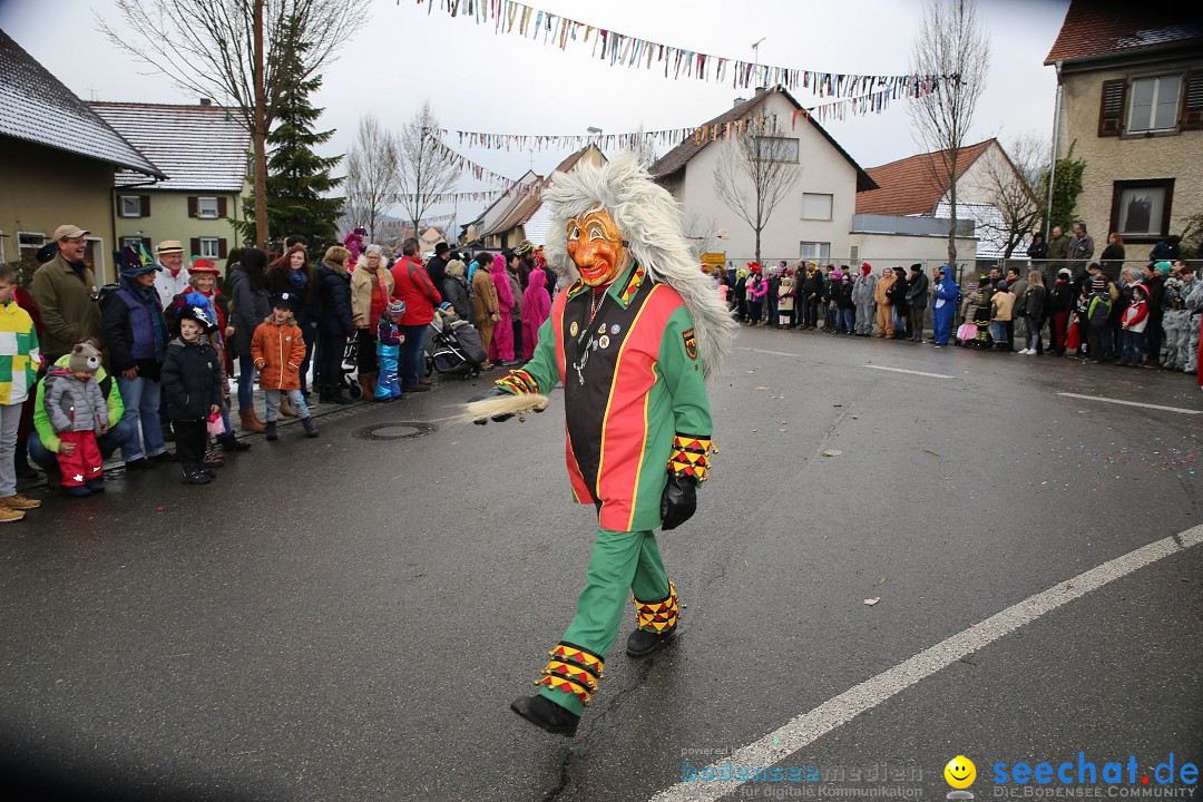 Fasnachtsumzug und Narrentage: Welschingen, 24.01.2016