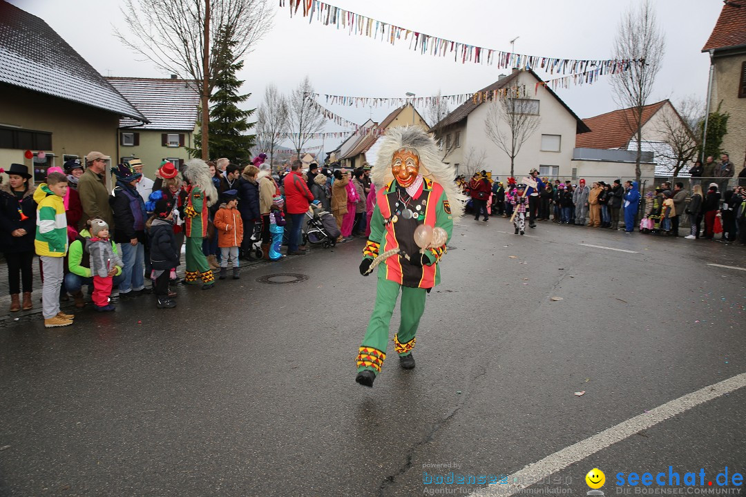 Fasnachtsumzug und Narrentage: Welschingen, 24.01.2016