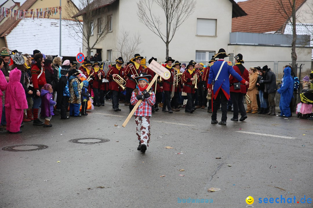 Fasnachtsumzug und Narrentage: Welschingen, 24.01.2016