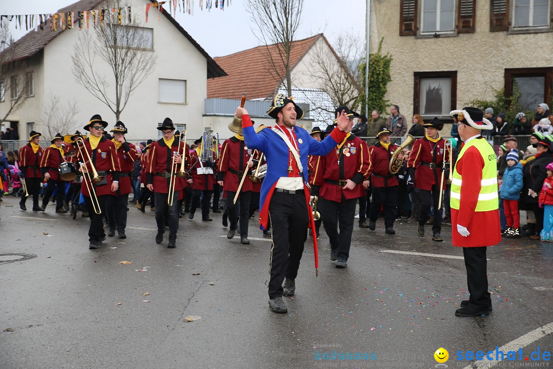 Fasnachtsumzug und Narrentage: Welschingen, 24.01.2016