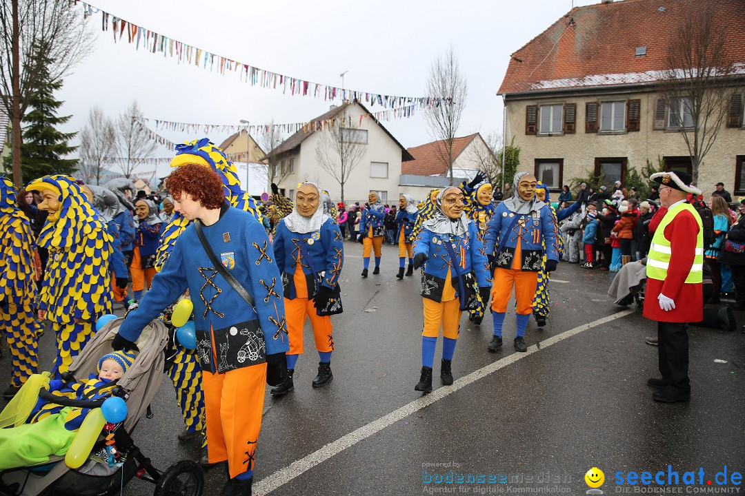 Fasnachtsumzug und Narrentage: Welschingen, 24.01.2016