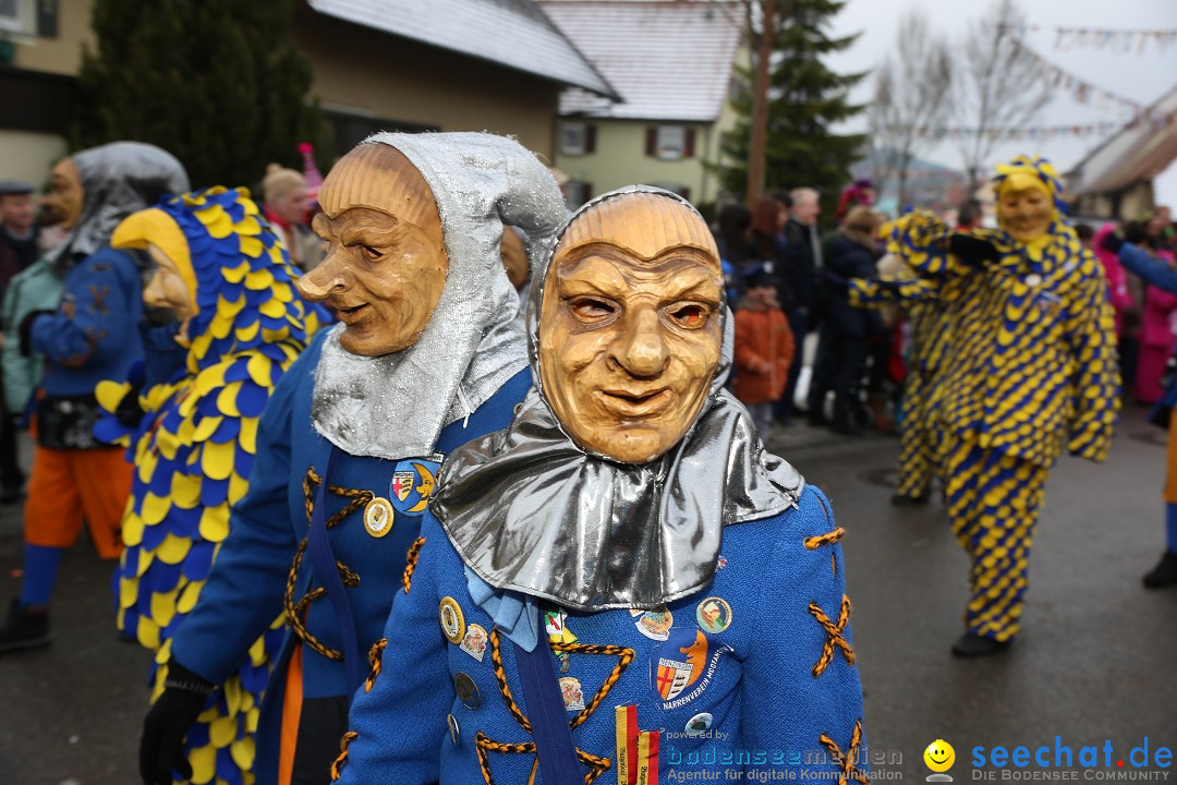 Fasnachtsumzug und Narrentage: Welschingen, 24.01.2016