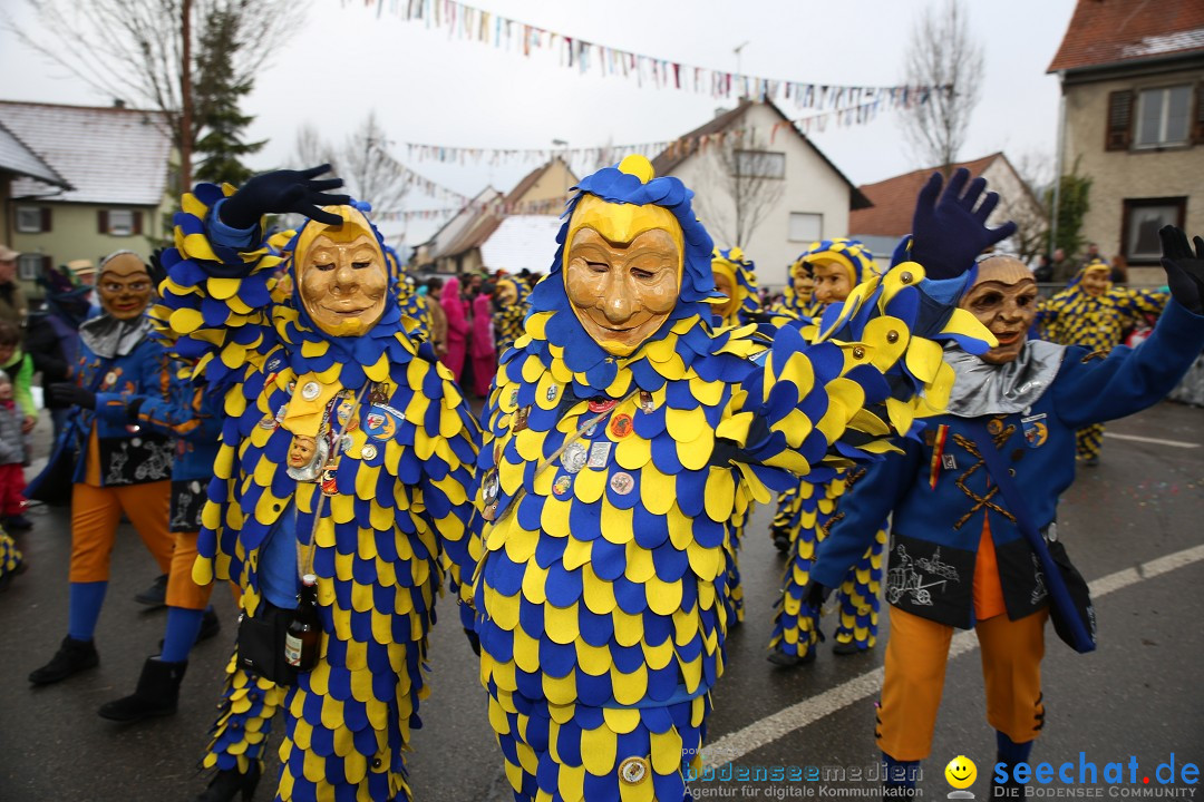 Fasnachtsumzug und Narrentage: Welschingen, 24.01.2016