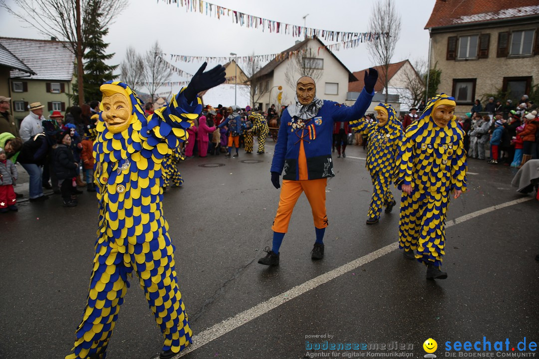 Fasnachtsumzug und Narrentage: Welschingen, 24.01.2016