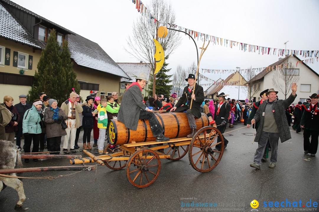 Fasnachtsumzug und Narrentage: Welschingen, 24.01.2016