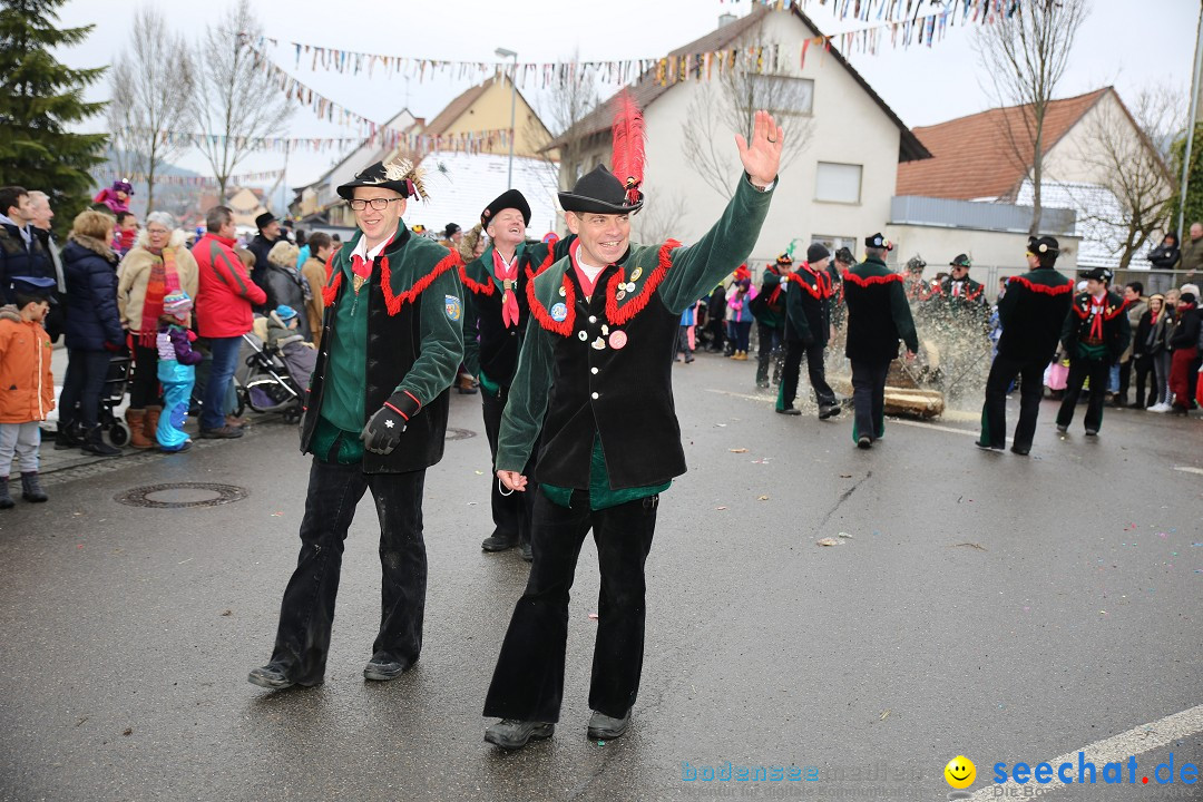 Fasnachtsumzug und Narrentage: Welschingen, 24.01.2016