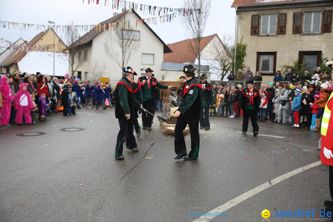 Fasnachtsumzug und Narrentage: Welschingen, 24.01.2016