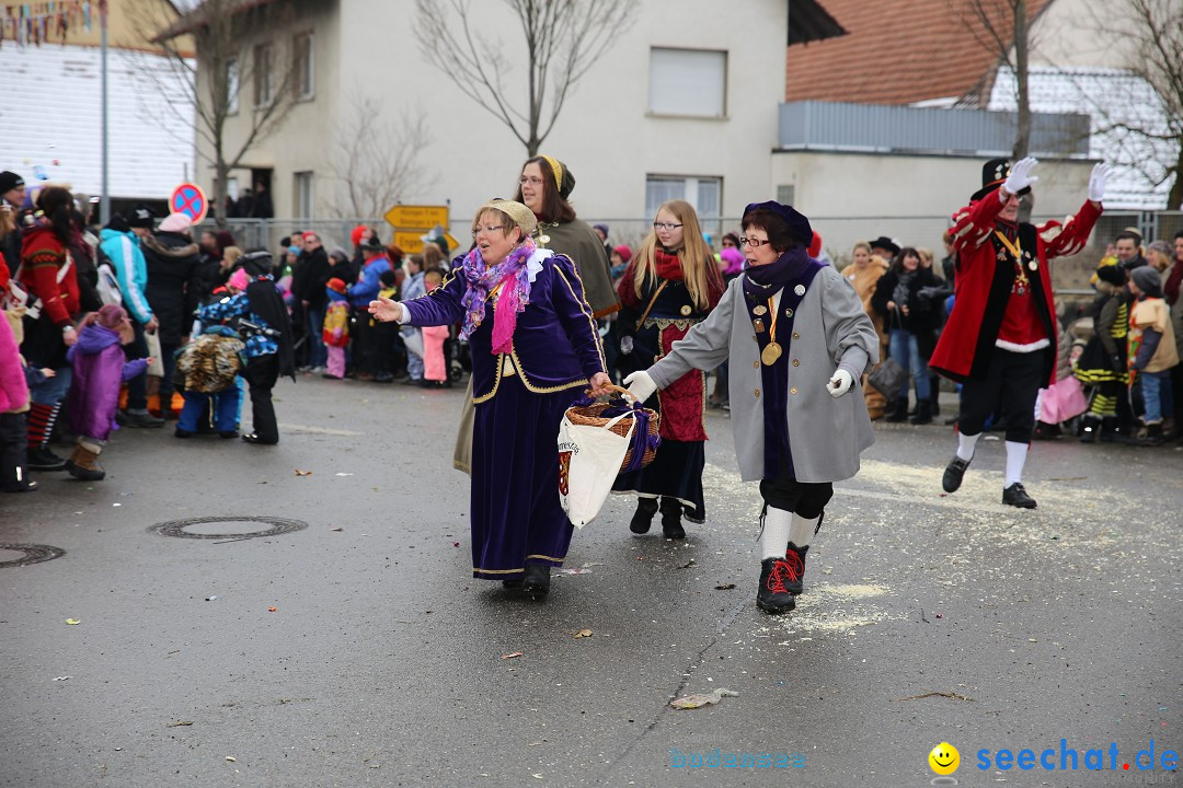 Fasnachtsumzug und Narrentage: Welschingen, 24.01.2016