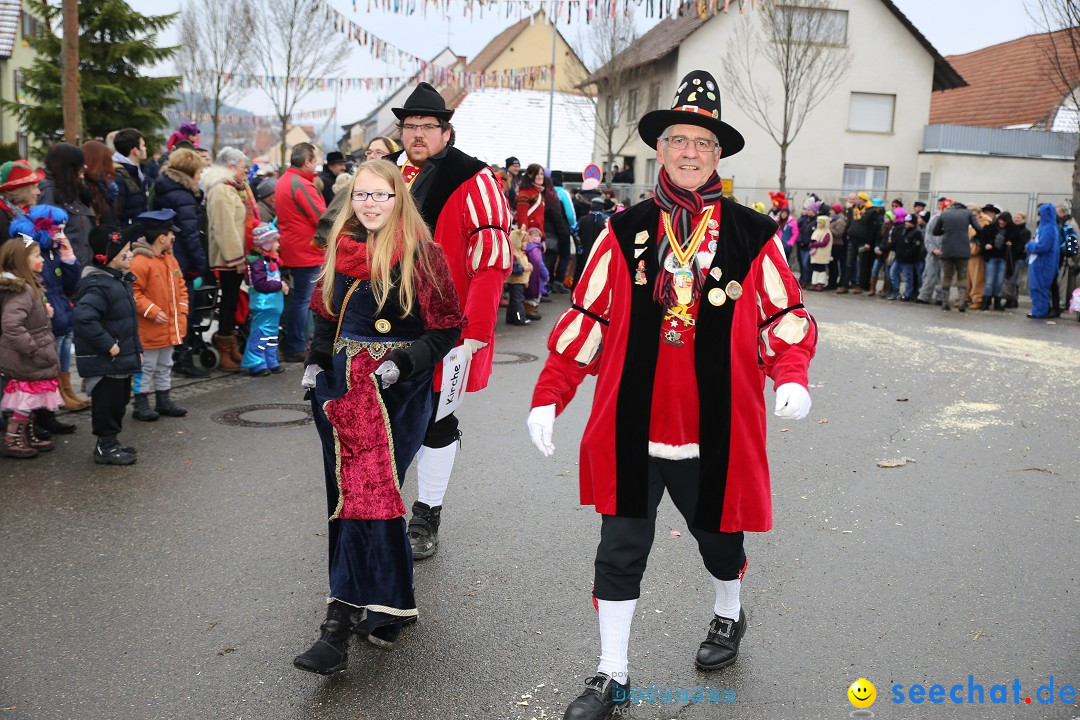 Fasnachtsumzug und Narrentage: Welschingen, 24.01.2016