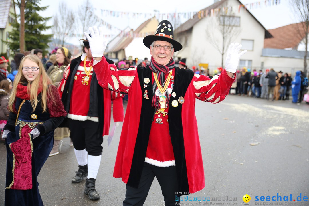 Fasnachtsumzug und Narrentage: Welschingen, 24.01.2016