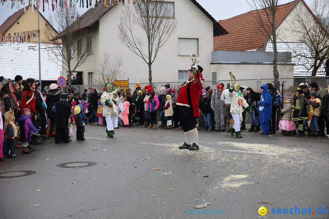 Fasnachtsumzug und Narrentage: Welschingen, 24.01.2016