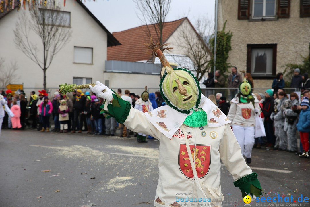 Fasnachtsumzug und Narrentage: Welschingen, 24.01.2016