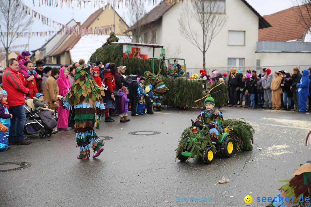 Fasnachtsumzug und Narrentage: Welschingen, 24.01.2016